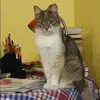 Отзыв от Антонина Анохина
